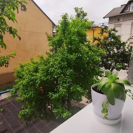 Mona Blue Σαράγεβο